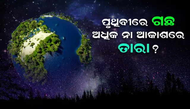 ପୃଥିବୀରେ ଗଛ ଅଧିକ ଅଛି ନା ଆକାଶରେ ତାରା? ଜାଣନ୍ତୁ କ'ଣ କହୁଛି ଅନୁସନ୍ଧାନ