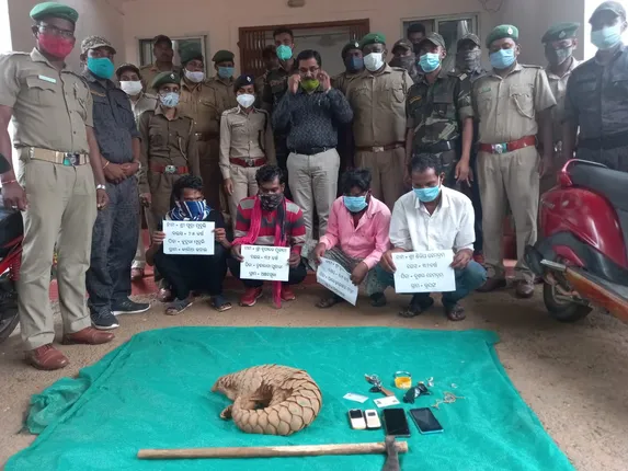 ବଜ୍ରକାପ୍ତା ଉଦ୍ଧାର, ୪ ଗିରଫ