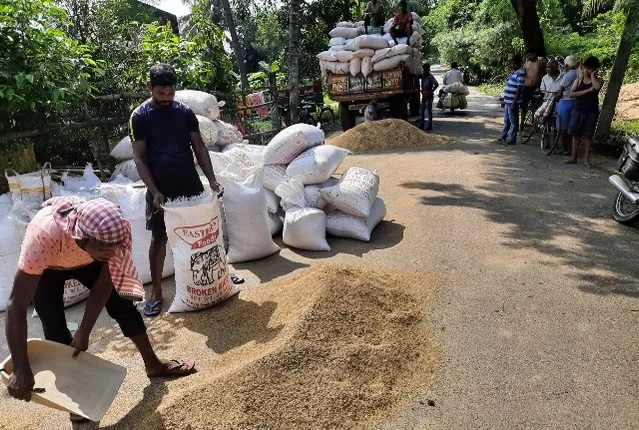 ଚାଷୀଙ୍କଠାରୁ ଧାନ କିଣା ବାଟବଣା: ମଣ୍ଡି ଖୋଲିବାରେ ବିଳମ୍ବ ଯୋଗୁଁ ବେପାରୀଙ୍କୁ ଲାଭ, କୁଇଣ୍ଟାଲ ପିଛା ୮ ଶହ ହରାଉଛି ଚାଷୀ
