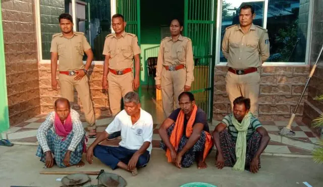 ବନ ବିଭାଗର ଚଢଉ: ବାର୍‌ହା ମାଂସ ସହ ଦେଶୀ ବନ୍ଧୁକ ଜବତ, ୪ ଗିରଫ