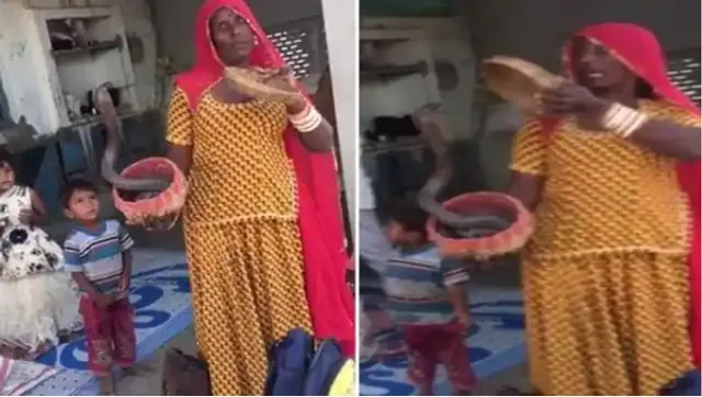 ଟିକା ଦେବାକୁ ଯାଇଥିବା ଡାକ୍ତରୀ ଟିମକୁ ସାପ ଦେଖାଇ ଡରାଇଲେ ମହିଳା