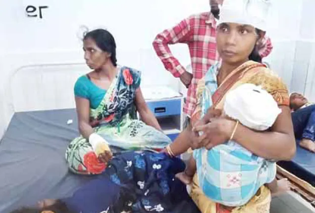 ୫୦ ଫୁଟ ତଳକୁ ଖସିଲା ଅଟୋ, ୪ ଶିଶୁ ସମେତ ୧୩ ଆହତ