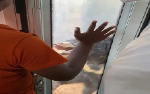 ଅସୁରକ୍ଷିତ ହୋଇପଡ଼ୁଛି କି ନନ୍ଦନକାନନ? ପର୍ଯ୍ୟଟକଙ୍କୁ କାମୁଡ଼ିଦେଲା ଭାଲୁ