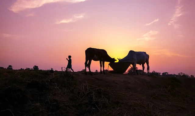 ୫ ଦିନ ପାଗ ଶୁଖିଲା, ପାରଦ ବେଶି ଖସିବନି