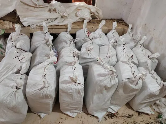 ଲମତାପୁଟ ଅଞ୍ଚଳରୁ ୩୦ ଲକ୍ଷର ଗଞ୍ଜେଇ ଜବତ