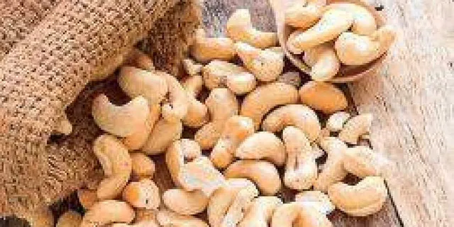 କାଜୁ ନିଗମରେ ଦୁର୍ନୀତି: ସ୍କୁଟରରେ ନର୍ସରିକୁ ଟନ୍‌ ଟନ୍‌ ଖତ ପରିବହନ