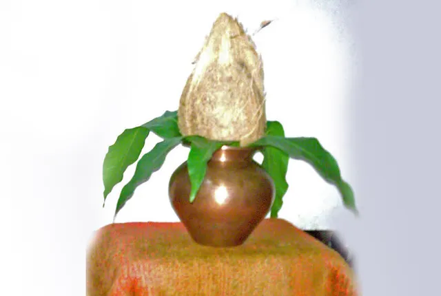 କଳସ ଉପରେ ଆମ୍ବଡାଳ