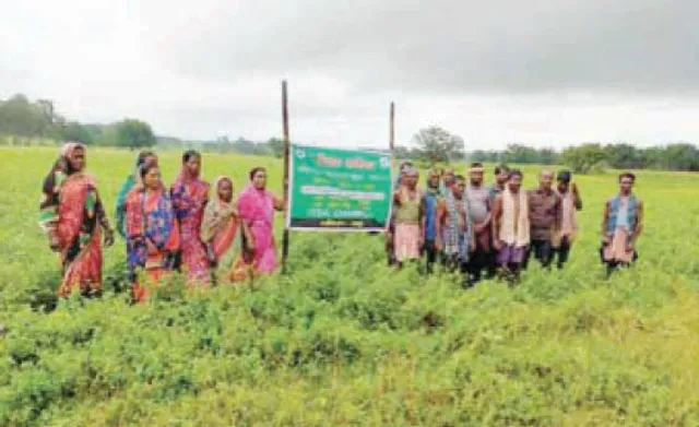 ଚିନାବାଦାମ ଚାଷ କରି ୨୦ ଚାଷୀ ଲାଭବାନ