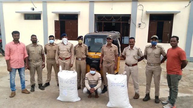 ୭୩ କିଲୋ ଗଞ୍ଜେଇ ସହ ଅଟୋ ଜବତ, ଜଣେ ଗିରଫ 