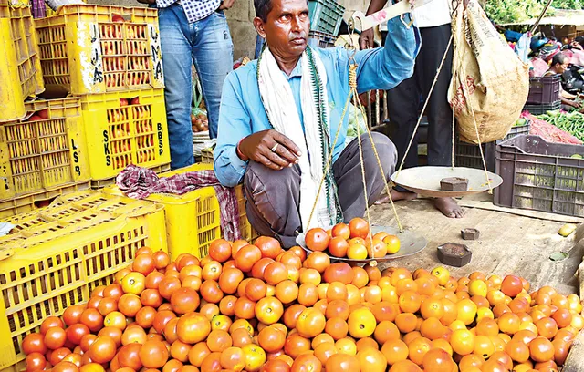 କୋଲାରରେ ଅଦିନିଆ ବର୍ଷା, ନାସିକ୍‌ରେ ଫସଲ ନଷ୍ଟ: ଓଡ଼ିଶାରେ ହୁ ହୁ ବଢ଼ୁଛି ଟମାଟୋ ଦର