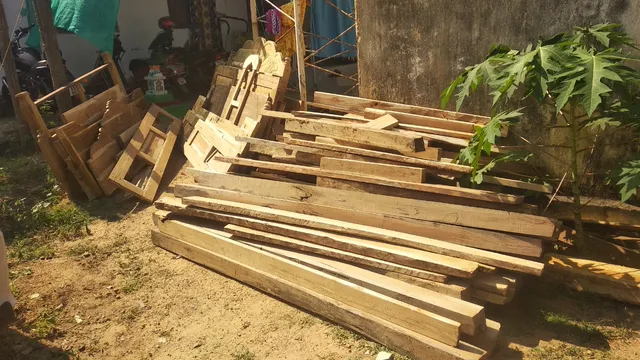 ଶାଳ ଓ ପିଆଶାଳ କାଠ ଜବତ