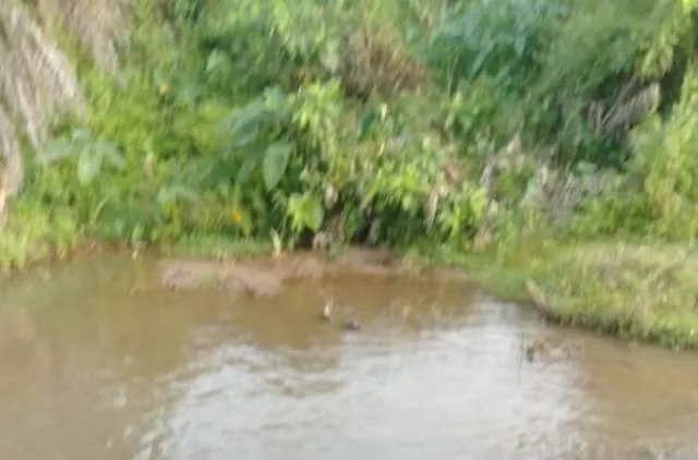 ଭାରସାମ୍ୟ ହରାଇ ବ୍ରିଜତଳକୁ ଖସି ବାଇକ ଆରୋହୀଙ୍କ ମୃତ୍ୟୁ