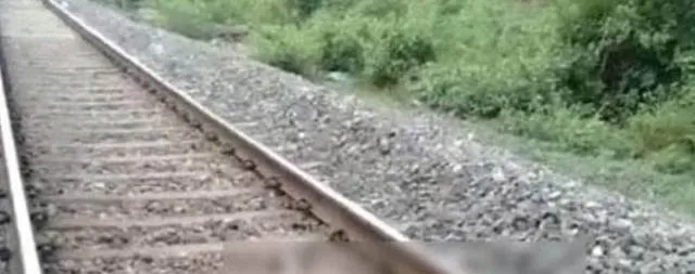 ରେଳ ଧାରଣାରୁ ଅଚିହ୍ନା ମହିଳାଙ୍କ ମୃତଦେହ ଠାବ