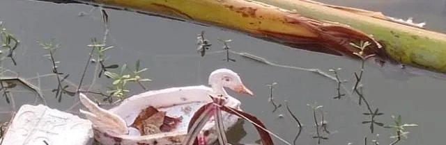 ପୋଖରୀରୁ ମିଳିଲା ମୃତଦେହ: ହତ୍ୟା ନା ଆତ୍ମହତ୍ୟା!