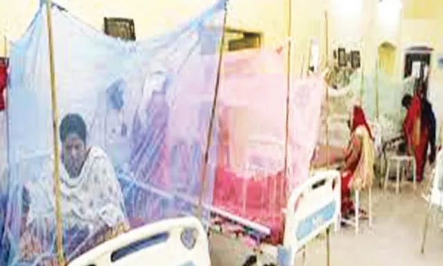 ଦିଲ୍ଲୀରେ ୬ ବର୍ଷ‌ରେ ରେକର୍ଡ ଡେଙ୍ଗୁ ମାମଲା