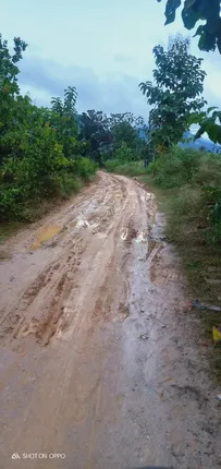 ମୋରମ ବିଛାଇ ଠିକାଦାର ନିଶ୍ଚିନ୍ତରେ, କାଦୁଅରେ ଲୋକେ ହନ୍ତସନ୍ତ