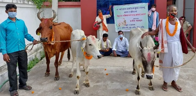 ଗୋପାଳକଙ୍କ ଅଭିନବ ପ୍ରତିବାଦ: ଗୁହାଳ ନମିଳିବାରୁ ଗାଈ ନେଇ ଜିଲ୍ଲାପାଳଙ୍କ ଅଫିସ ଆଗରେ ଧାରଣା