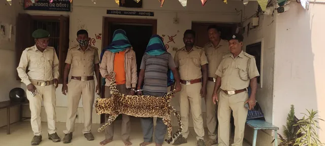 ମୂଲଚାଲ ବେଳେ ବାଘଛାଲ ସହ ଦୁଇ ଅଭିଯୁକ୍ତ ଗିରଫ