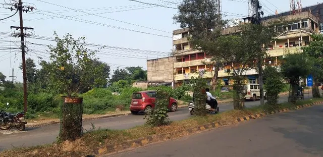 ମାଡ଼ିବସିଛନ୍ତି ୫୦ କୋଟିର ଜଙ୍ଗଲ ଜମି! ଚୁପ୍‌ ବସିଛନ୍ତି ବନ ଓ ରାଜସ୍ୱ ବିଭାଗ