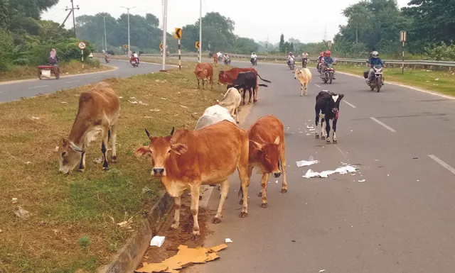 ରିଂ ବନ୍ଧ ଏବେ ବସ୍ ରୁଟ୍, ବ୍ୟବସ୍ଥା ନ ଥିବାରୁ ବଢ଼ୁଛି ବିପଦ