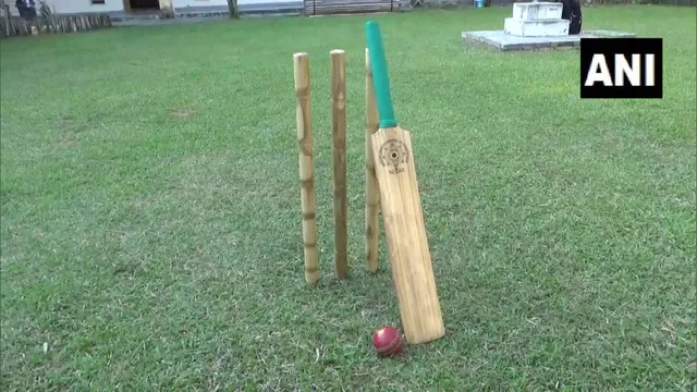 ବାଉଁଶରେ ତିଆରି ହେଲା ବ୍ୟାଟ ଓ ଷ୍ଟମ୍ପ: କାଠ ବ୍ୟାଟଠାରୁ ଅଧିକ ମଜଭୁତ ବାଉଁଶବ୍ୟାଟ