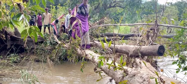 ଗୁରୁଝୁଲି ପ˚ଚାୟତବାସୀଙ୍କୁ ରାସ୍ତା ଯନ୍ତ୍ରଣା,  ଉପୁଡ଼ି ପଡ଼ିଥିବା ଗଛ ଶାଖା ୩ ଗ୍ରାମବାସୀଙ୍କ ପୋଲ 
