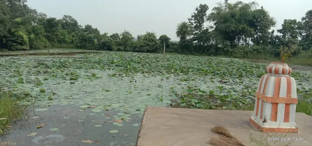 ଐତିହାସିକ ହାଡ଼ଗାଡ଼ିଆ ପୋଖରୀ ଏବେ ପରିତ୍ୟକ୍ତ  