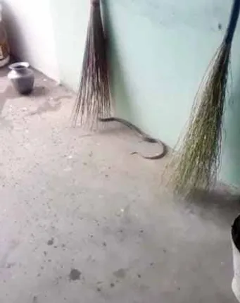 ସେକ୍ଟର-୧୩; ‘ଫନି’ ପରଠାରୁ ଷ୍ଟ୍ରିଟ୍ ଲାଇଟ୍‌ ଅଚଳ, ୯୩ ଲକ୍ଷ ଟଙ୍କା ମଞ୍ଜୁର ପରେ ବି ଆରମ୍ଭ ହେଉନି କାମ