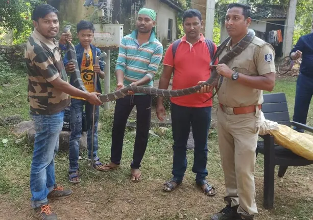 ପରିତ୍ୟକ୍ତ କୂଅରୁ ପ୍ରାୟ ୧୫ ଫୁଟ୍‌ର ଅହିରାଜ ଉଦ୍ଧାର