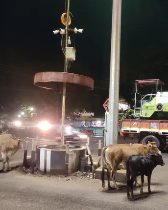 ଟ୍ରାଫିକ୍ ପୋଷ୍ଟ ରହିଛି, ନାହାନ୍ତି ପୁଲିସ: କେମିତି ‌ହେବ ଜୟପୁର ଟ୍ରାଫିକ ନିୟନ୍ତ୍ରଣ?