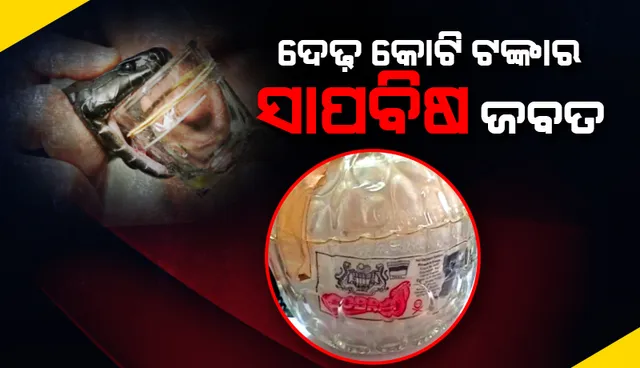 ଦେବଗଡ଼ରେ ସାପବିଷ କାରବାର: ଦେଢ଼କୋଟିର ସାପବିଷ ଜବତ,୨ ଗିରଫ