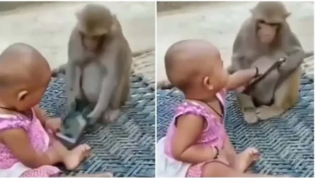 ମୋବାଇଲ ପାଇଁ ମାଙ୍କଡ଼ ଓ ଶିଶୁ କନ୍ୟାଙ୍କ ମଧ୍ୟରେ ଟଣାଓଟରା