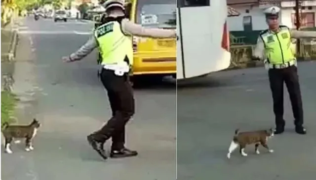 ଟ୍ରାଫିକ ପୁଲିସ ଗାଡିଗୁଡ଼ିକୁ ଅଟକାଇ ବିଲେଇକୁ କରାଇଲେ ରାସ୍ତା ପାର