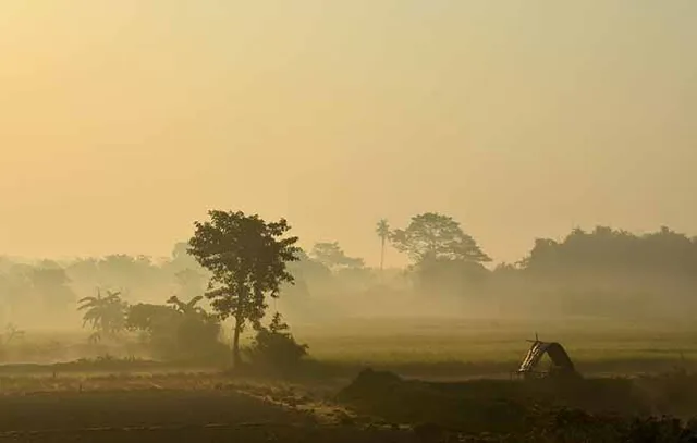 ସକାଳେ କୁହୁଡ଼ି, ଦିନରେ ଟାଣ ଖରା