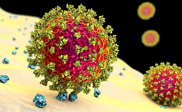 ଦୁଇ ବିଶ୍ୱସ୍ତରୀୟ ଓମିକ୍ରନ୍‌ ଅଧ୍ୟୟନ: ସାଂଘାତିକ ସ୍ଥିତି ସୃଷ୍ଟି ହେବନି