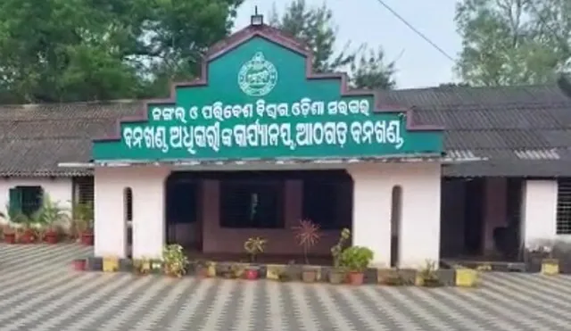 ହାତୀ ଦାନ୍ତ ପାଖରେ ରଖି ରେଞ୍ଜର୍‌ ନିଲମ୍ବିତ