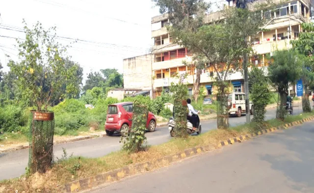 ମାଡ଼ିବସିଛନ୍ତି ୫୦ କୋଟିର ଜଙ୍ଗଲ ଜମି: ଚୁପ୍‌ ବସିଛନ୍ତି ବନ ଓ ରାଜସ୍ବ ବିଭାଗ, ଛିଡ଼ାହୋଇଛି ସୁଉଚ୍ଚ ଅଟ୍ଟାଳିକା