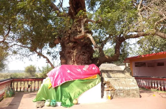 ସାଂପ୍ରଦାୟିକ ସଦ୍‌ଭାବର ନିଦର୍ଶନ ନିମ୍ବଗଛ