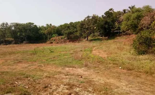 ଜମି ‌ବନ୍ଦୋବସ୍ତ ଆଇନ-୧୯୮୩ର ସଂଶୋଧନ: ଗୋଚର ଜମି ପରିମାଣ ୩%କୁ କମିଲା