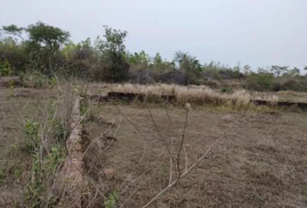 ଚନ୍ଦକାରେ ୧୩ ଏକର ଜଙ୍ଗଲ ଜମି ହଡପ, ନିଷ୍ପତ୍ତି ନେବାକୁ ଜିଲ୍ଲାପାଳଙ୍କୁ ନିର୍ଦ୍ଦେଶ