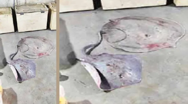 ଓଡ଼ିଶା ଶାଙ୍କୁଚରେ ଚାଇନା ସୁପ୍‌, କୋଲକାତା ଦେଇ ହେଉଛି ଚାଲାଣ