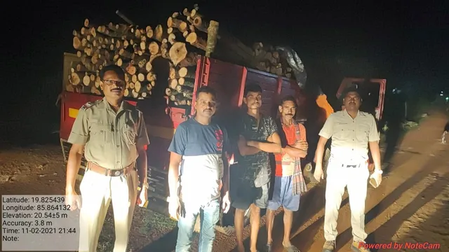 ବେଆଇନ ଭାବେ ଝାଉଁ କାଠ ଚାଲାଣ କରାଯାଉଥିବା ଗାଡ଼ି ଜବତ, ୨ଗିରଫ