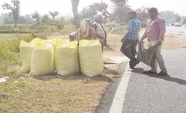 ଗଞ୍ଜାମରେ ଧାନ ଅଭାବୀ ବିକ୍ରି: ଶହ ଶହ ଟ୍ରକ୍‌ ଆନ୍ଧ୍ର ଚାଲାଣ