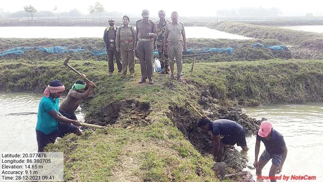 ମାସେ ପରେ ପୁଣି ଭଙ୍ଗାଗଲା ବେଆଇନ୍‌ ଚିଙ୍ଗୁଡ଼ି ଘେରି