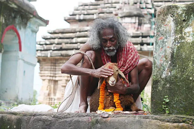 ‘କ୍ଷଣିକା ଦି ଲଷ୍ଟ୍‍ ଆଇଡିଆ’ ଫିଲ୍ମକୁ କାହିଁକି ଓଟିଟିରୁ ହଟାଇଦିଆଯାଇଥିଲା, ପ୍ରଶ୍ନ ଉଠାଇଲେ କୋରାପୁଟ ସାଂସଦ