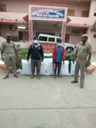 ୧୦୧ କିଲୋ ଗଂଜେଇ ଜବତ,୨ ଗିରଫ