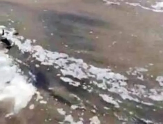 ଏରସମାରେ ଜୱାଦ୍‌ ପ୍ରଭାବ, ଜୁଆର ମାଡ଼ି କଳାବେଦିଠାରୁ ରାମତରା ଜଳମଗ୍ନ