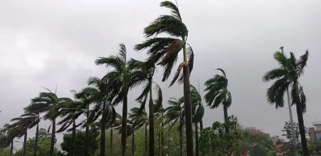 ଗ୍ରୀଷ୍ମକାଳୀନ ବାତ୍ୟାର ମୁକାବିଲା ପାଇଁ ଉଚ୍ଚସ୍ତରୀୟ ବୈଠକ: ପ୍ରସ୍ତୁତ ରହିବାକୁ ଜିଲ୍ଲାପାଳଙ୍କୁ ନିର୍ଦ୍ଦେଶ