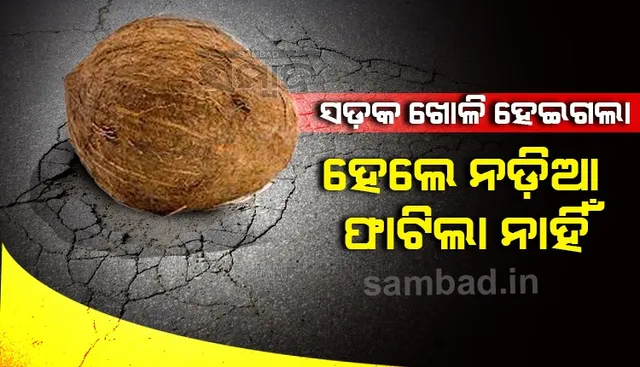 ଉଦଘାଟନ ବେଳେ ଅଦ୍ଭୁତ ଘଟଣା : ନବନିର୍ମିତ ସଡ଼କ ଖୋଳି ହୋଇଗଲା, କିନ୍ତୁ ନଡ଼ିଆ ଫାଟିଲା ନାହିଁ