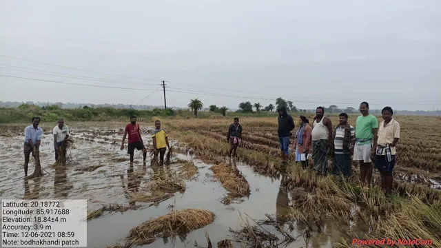ବାଲିଅନ୍ତା ବ୍ଲକ ଅଞ୍ଚଳରେ ୪ ହଜାର ହେକ୍ଟର ଖରିଫ ଧାନ ଫସଲ ନଷ୍ଟ, କୃଷି ବିଭାଗର ପ୍ରାଥମିକ ରିପୋର୍ଟ